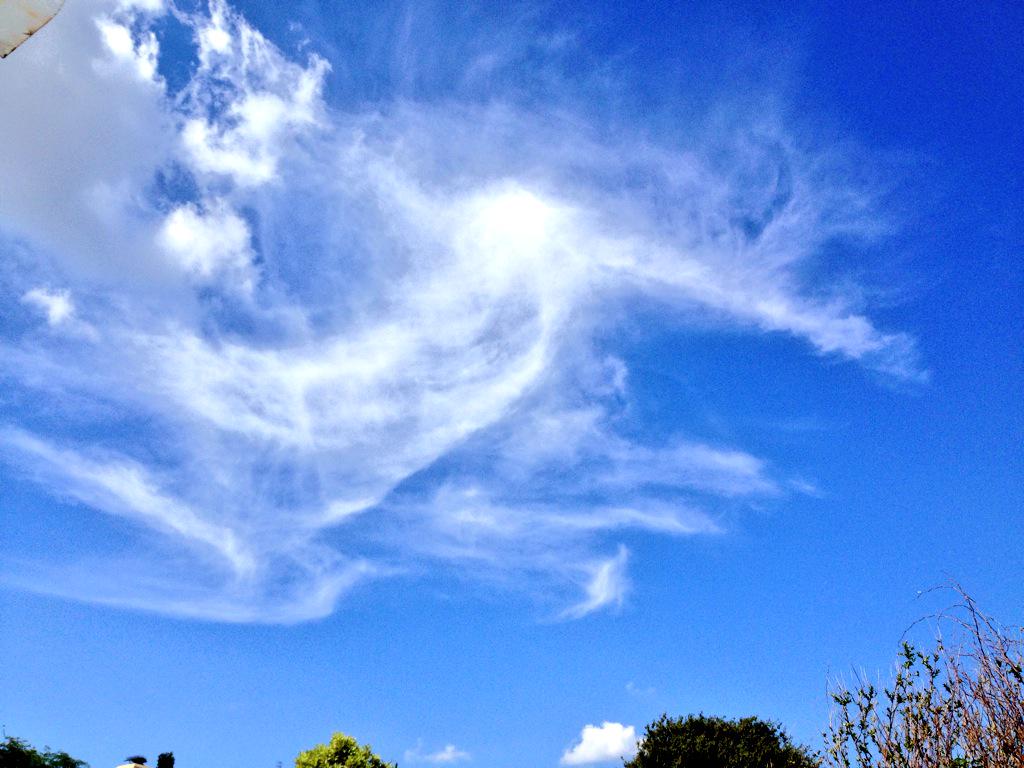 OpChemtrails's tweet photo. Many planes bombed this cirrus, 3jets, a small plane. A black chopper regular spotter. http://t.co/w0MCytluQf #OpChemtrails #Geoenginee