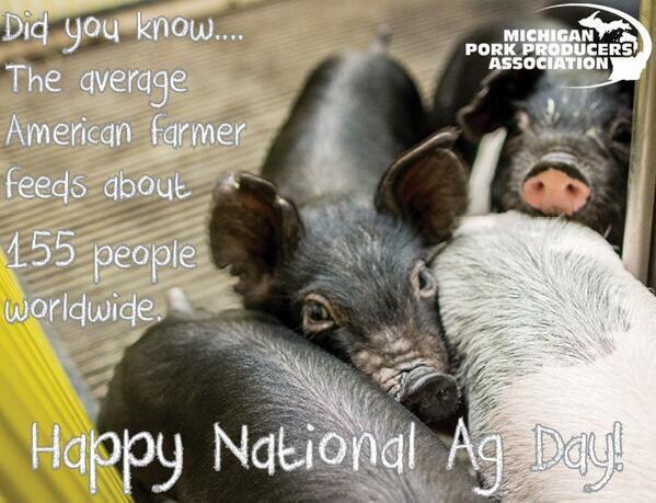 chkell's tweet image. 