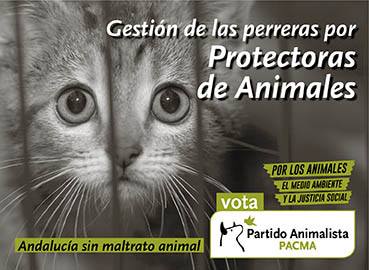 PartidoPACMA's tweet photo. Andalucía sin maltrato animal: Gestión de las perreras municipales por asociaciones Protectoras de Animales http://t.co/xAK8xchTiN