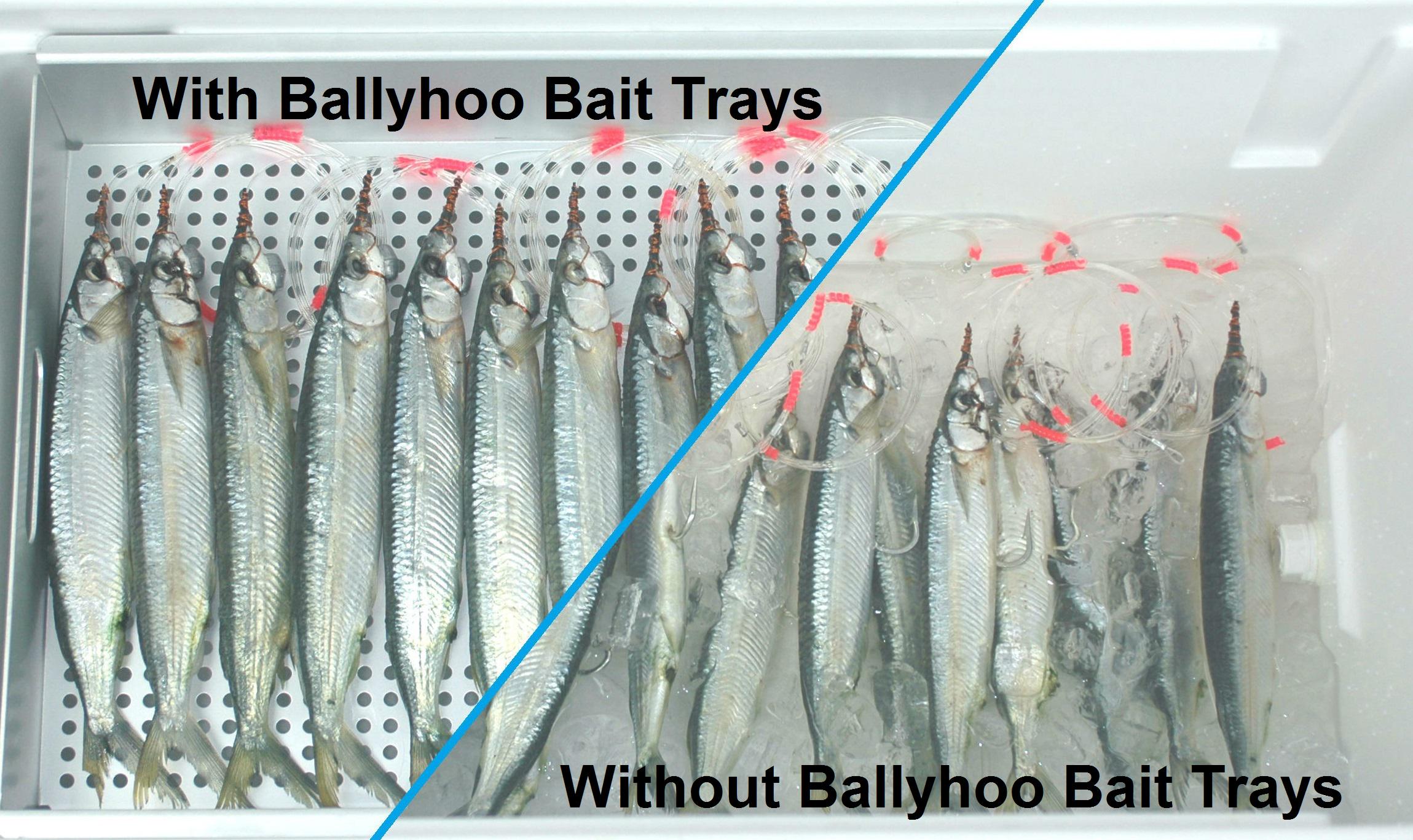 Ballyhoo Bait Trays (@BHBaittrays) / X