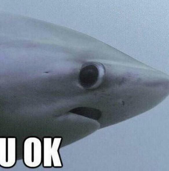 FunnyQuotees's tweet photo. When someone is crying and you're just like http://t.co/KS9DVdgUa9