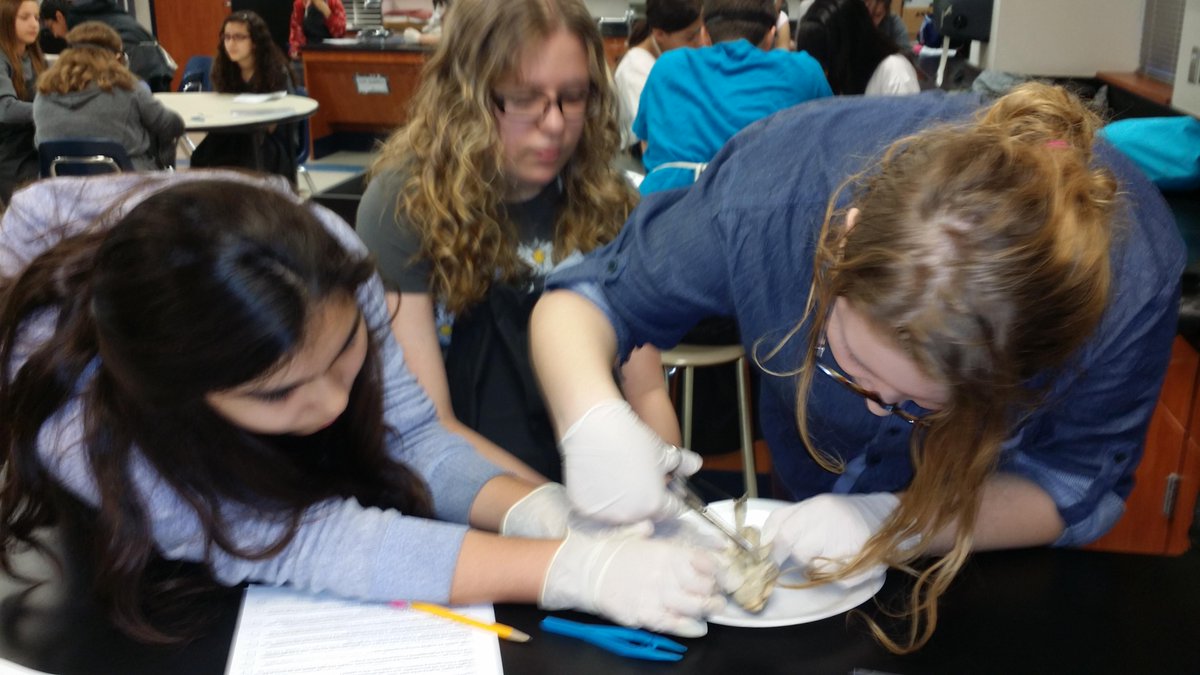 Clute Intermediate tweet media