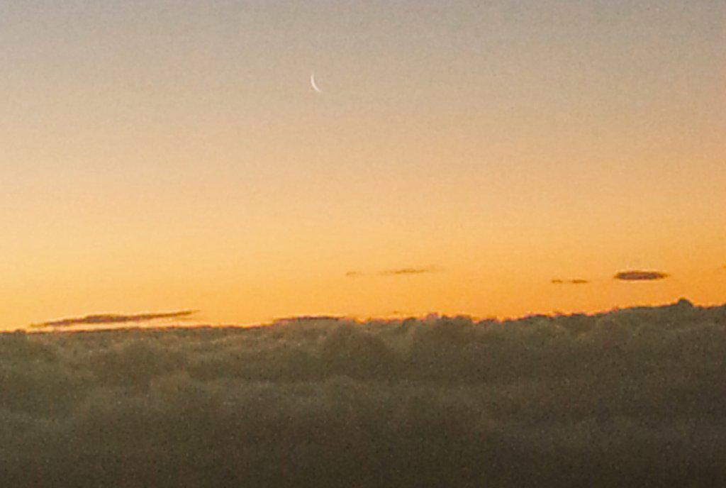 Golden sunrise over Seattle this morning. Let the #GoldRush begin! <a href="/wyoathletics/">Wyoming Athletics</a> <a href="/wyo_mbb/">Wyoming Cowboy Basketball</a> @JoshTAdams14 <a href="/Larrydn22/">Larry Nance</a>