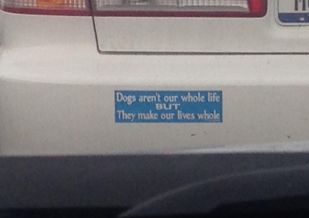 Could not have said it better! #bumpersticker #ethicalpet #petparents
