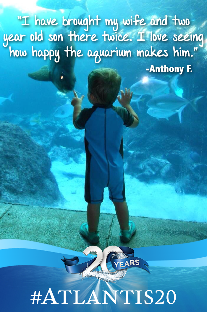 atlantisbahamas's tweet photo. We're celebrating 20 years in paradise! Share your favorite Atlantis memory with #Atlantis20. http://t.co/YXAjMI0YWt