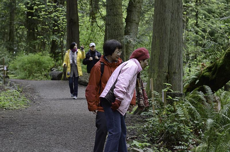 SaanichParksRec's tweet photo. #Saanich Gentle Walk &amp;Talk Sun. March 22 Parks of Gordon Head. Meet @ 1:00 entrance of GH Rec. http://t.co/4kvZgx2SxG http://t.co/spn0gBM3PV