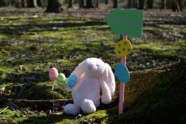 CoLEppingForest's tweet image. Get crafty this #Easter!  Felt Easter Flowers at #TheView.  25/3, 7-9pm.  £15 per person, booking required.