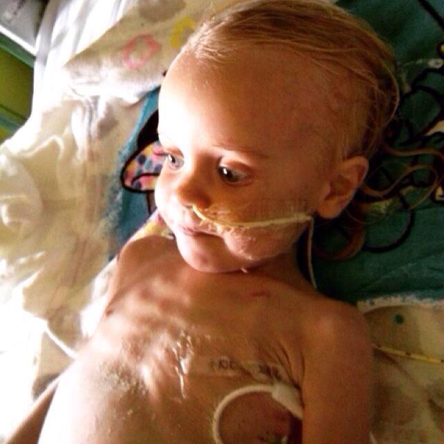 anita marinelli tweet media