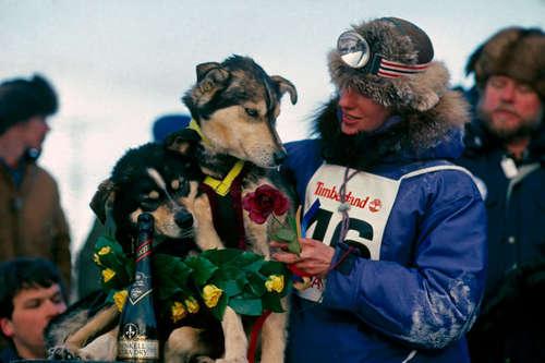 anselmonadir's tweet photo. 30 years ago,
#LibbyRiddles became the first female to conquer the #Iditarod:
http://t.co/gIsCDr3EIV
@Bio
http://t.co/6AUTzu9QP7