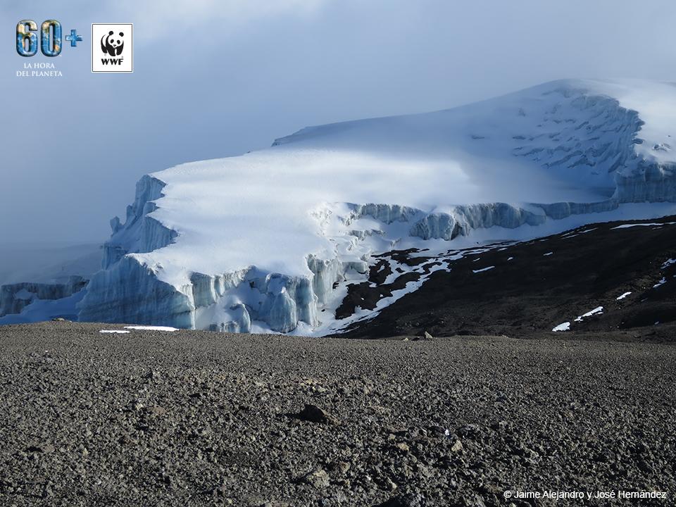 WWF España 🐼 tweet media