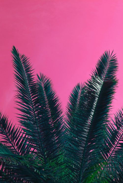 Time to name our collection...14 bikinis to pick for, 6 colors. #fashiondesign #design #swimsuit #swimwear #bikini