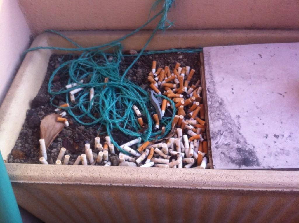 MlleFuriie's tweet photo. Mais a part ca je ne fume pas.., #salaud #gr #as2pik&amp;co http://t.co/BsT0BdlBu1