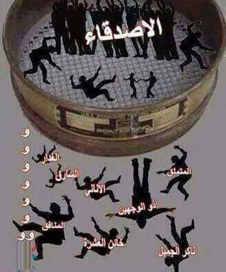 Essam Gamal (@essam_gamal97) on Twitter photo 