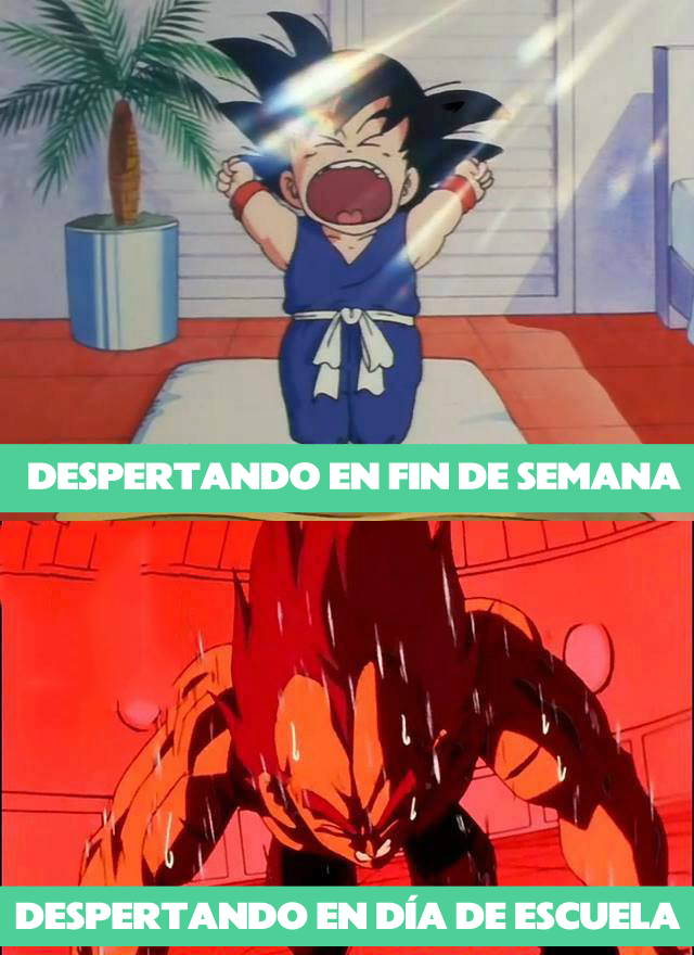 El 5 tweet media