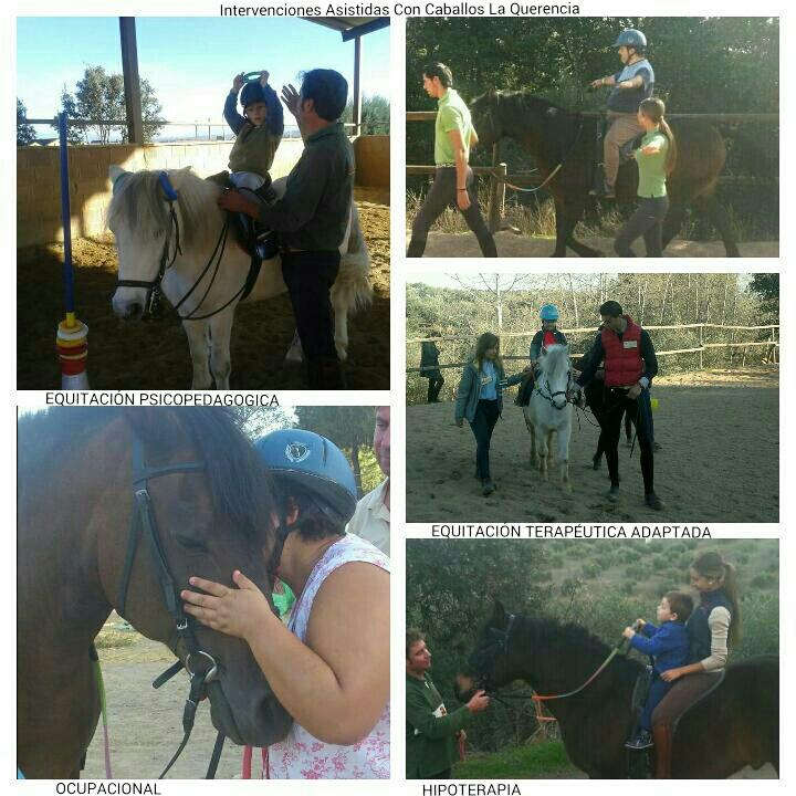 5C2081's tweet photo. Info; caminodelavirgen@gmail.com
#TerapiasAsistidasConCaballos http://t.co/bjxFwAZoQH