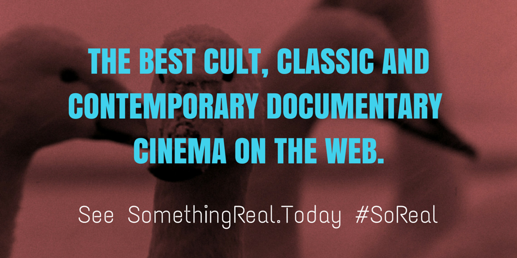TheDocSociety's tweet photo. THE BEST DOCUMENTARIES YOU CAN WATCH RIGHT NOW! See http://t.co/gdh8tKZLmQ #SoReal #TwoDocsInYourInbox http://t.co/SmASLjNWIa