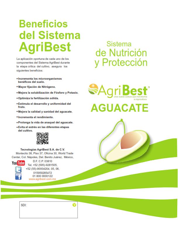 En AgriBest siempre creamos Nuevos Sistemas para tu cultivo