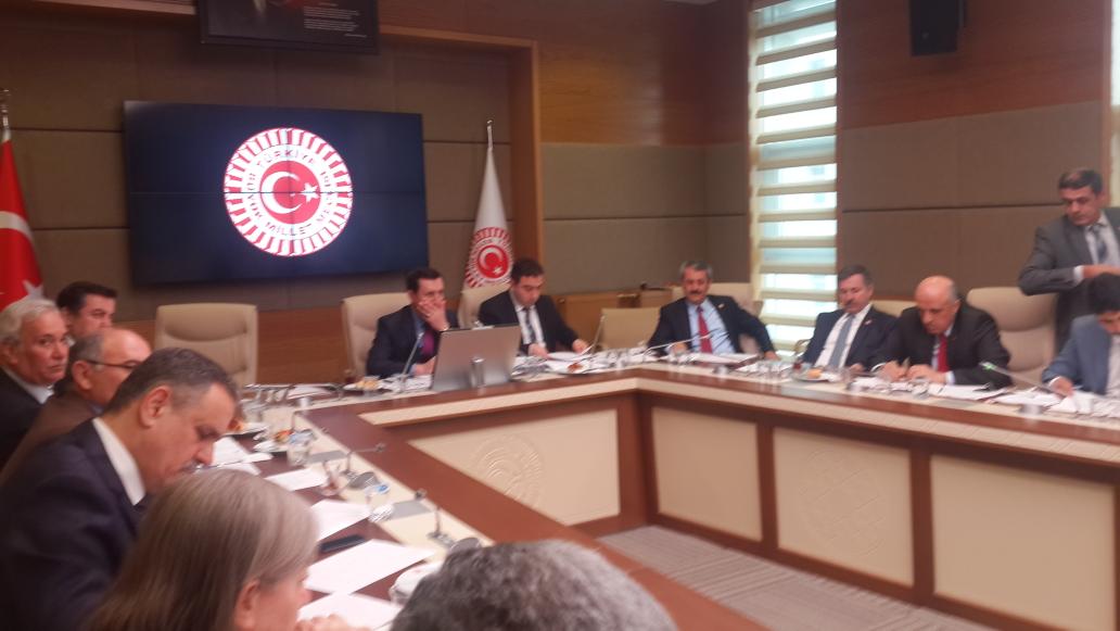 İskenderun Teknik Ünüversitesi TBMM milli egitim komisyonuda kabul edildi.