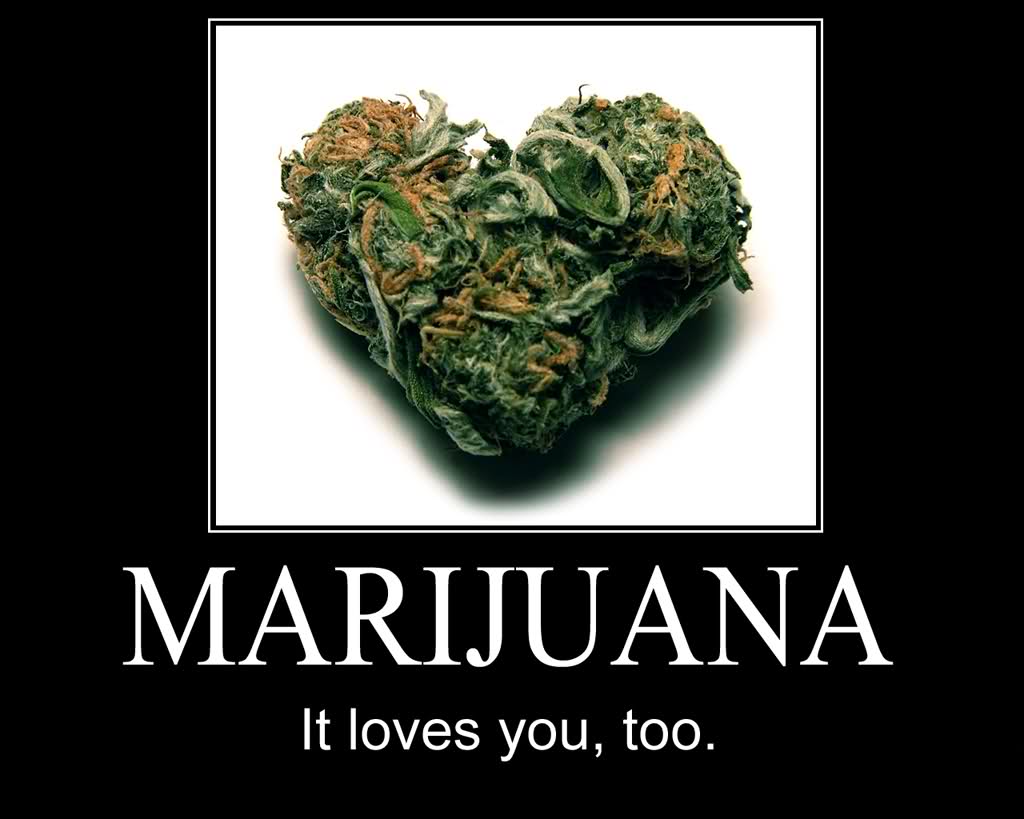 #StonedFact tweet media