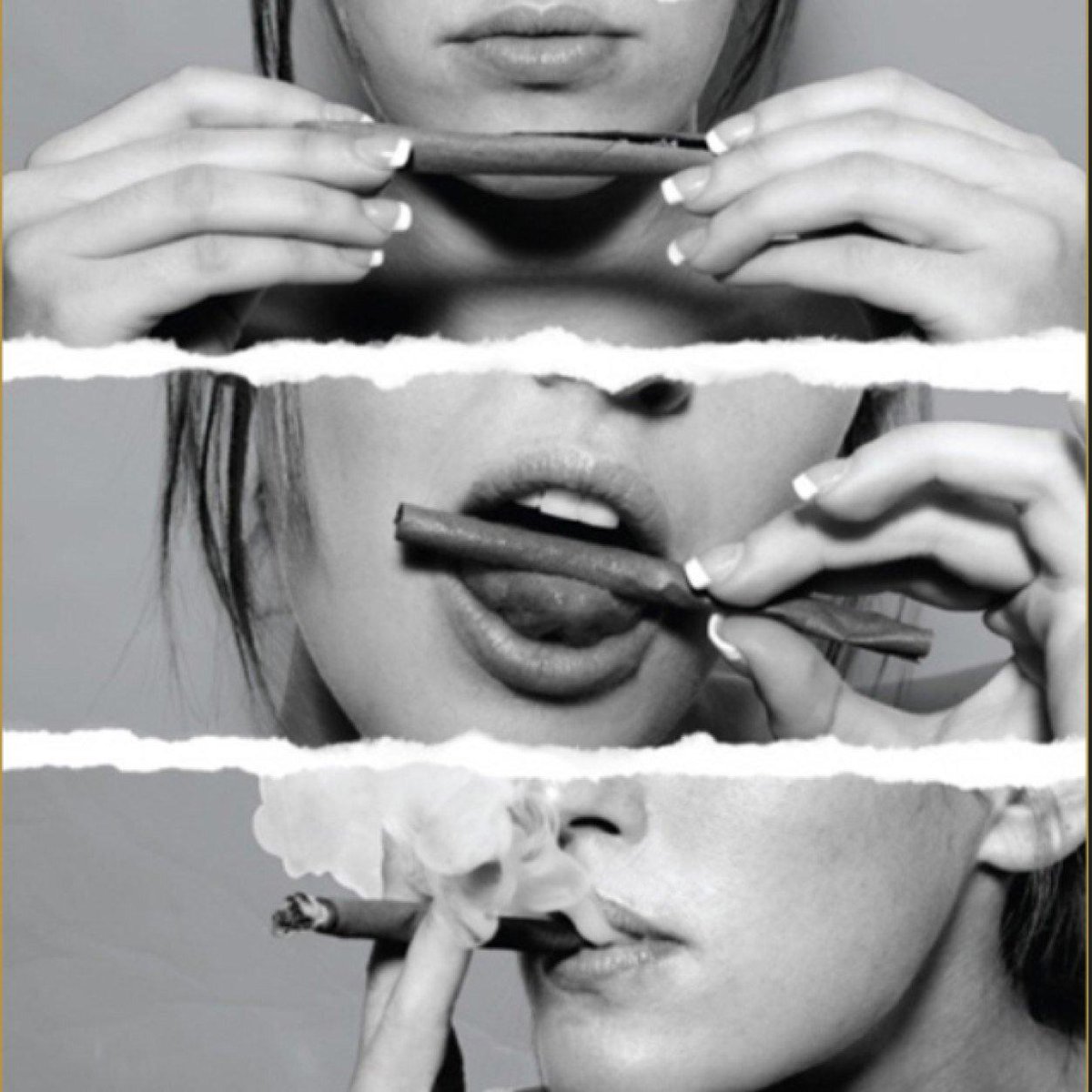 #StonedFact tweet media