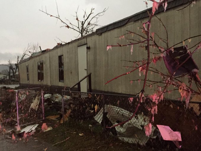 View image on Twitter