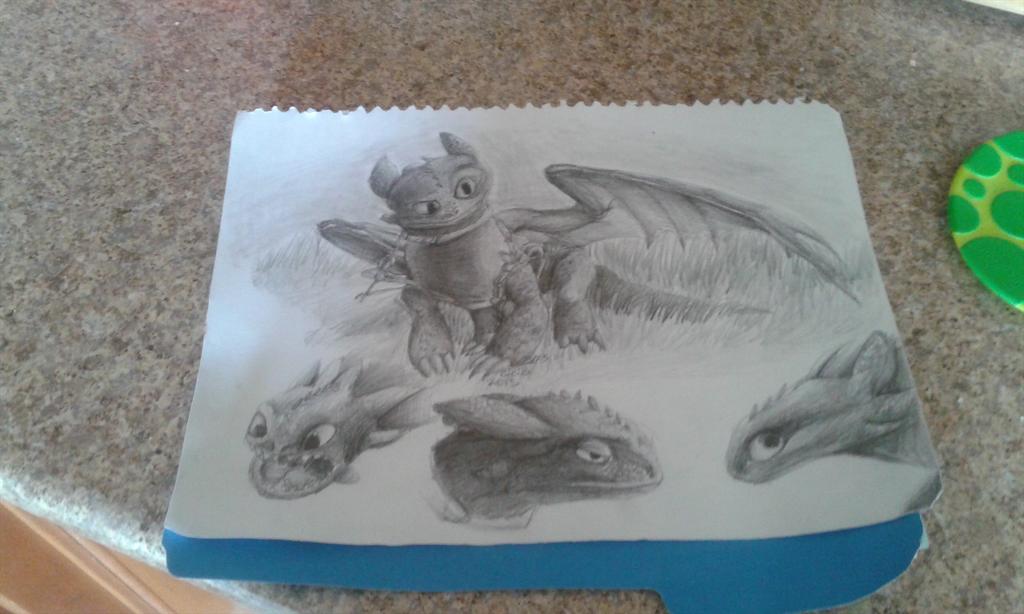 631f34884743486's tweet image. @ToothlessAlpha what do you think