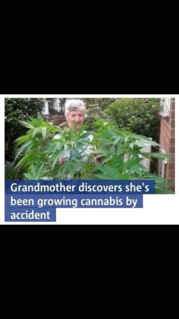 Intl_Highlife's tweet photo. Does her face look like she was growing that on accident? http://t.co/RxHqR2JSLD