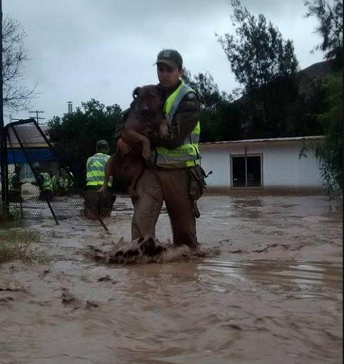 View image on Twitter View image on Twitter