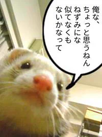 今週のリンク・ワールドver.3.0は休載になります。申し訳ないです(;'Д`) 