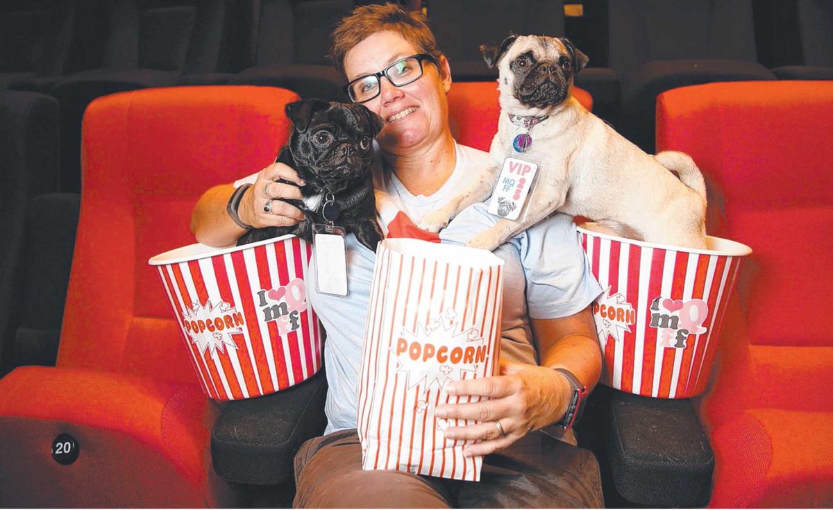 mqff's tweet photo. Get a pic with #mqff25 #puginterns Peggy & Dottie TODAY @acmi 12pm! Pic @taubheraldsun http://t.co/FFga0V8k5f http://t.co/sq1W6PZRW5