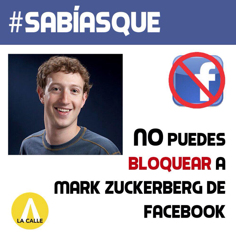 La Calle tweet media