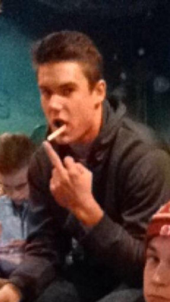 DaDolphinTurtle's tweet image. Mood