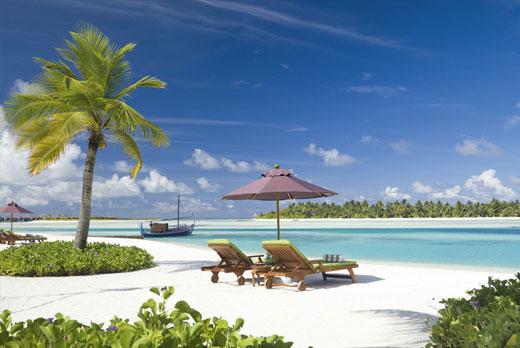 Travel To Maldives tweet media