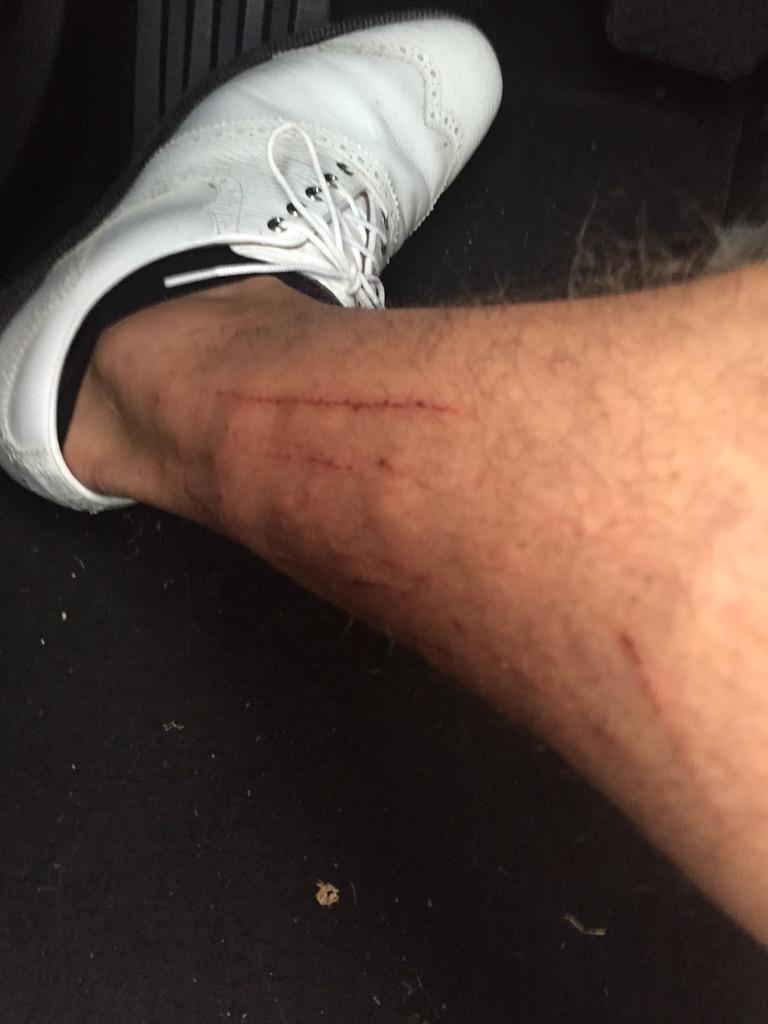 K_ROD182's tweet photo. P.S.A --- Don't play Desert Forest GC unless you want to leave mentally defeated and physically hurt #CactusAttack http://t.co/EsaQsMK5bV