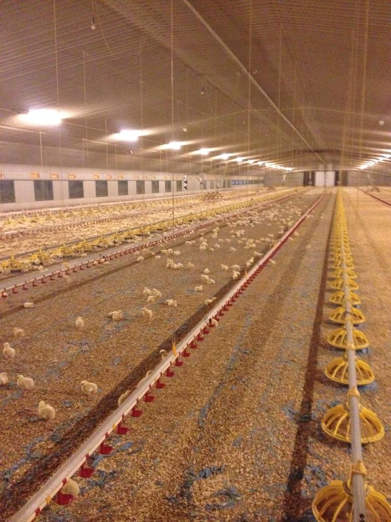 Notts Agrics tweet media