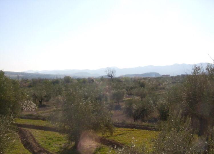 espanarural's tweet photo. EXCELLENT RETREAT PROPERTY WITH FANTASTIC PRICE TAG!!

Cortijillo Tranquilo  20,000 Euros

http://t.co/AtXLUeXqdO http://t.co/7FtPrZKTub
