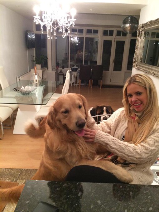 Extraño a Apollo,una de los perros de Jonas...#amolasmascotas #adorolosanimales #dogs #lovedogs #missapollo