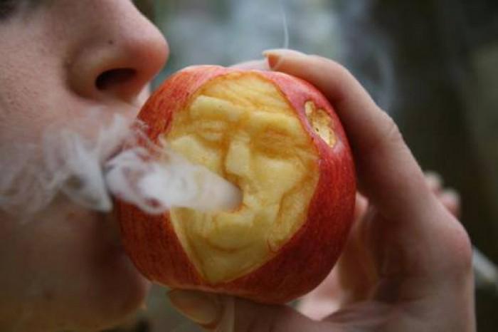 GrowLandiaOFI's tweet photo. Abuelo... qué haces ahí?!! - Follow @HighPhotos420 - http://t.co/tHLmRWWNKZ http://t.co/dmMnw6rAMD