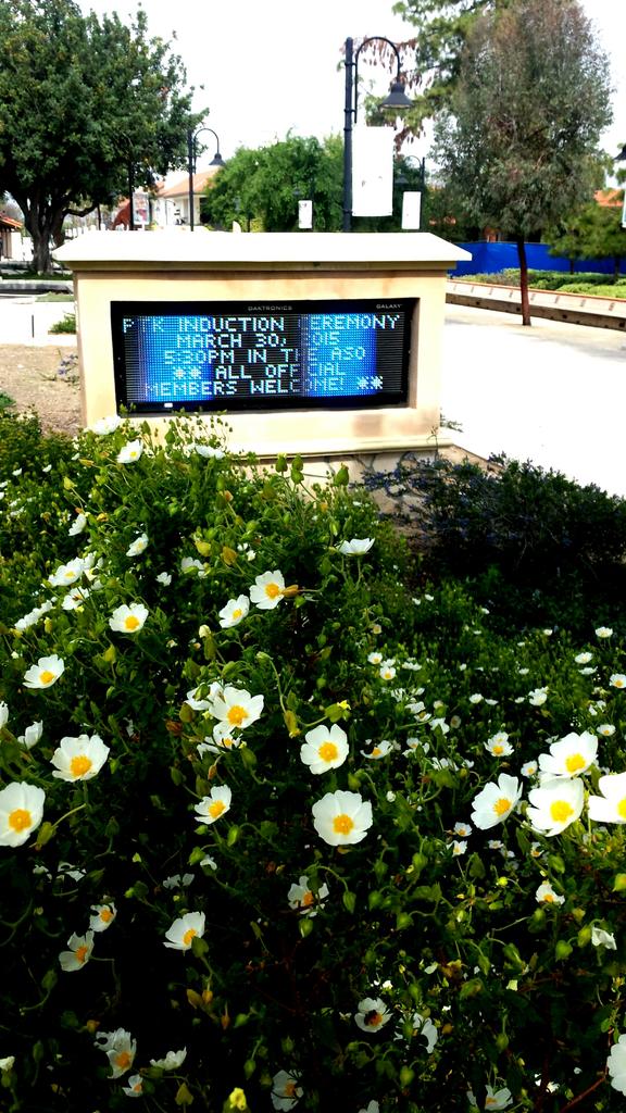 Pierce PTK HONORS tweet media