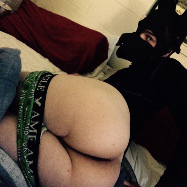 pupbastian's tweet photo. He explored his pup side last night #boyfriend #beta #alpha #nosir #whereissir #ruff http://t.co/mXHIKef7tl