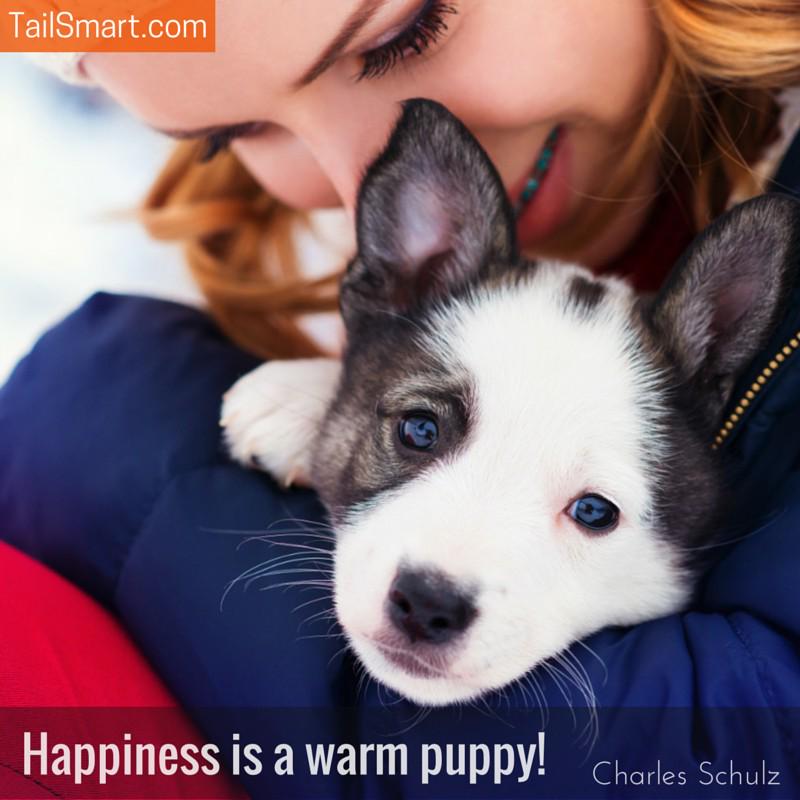 tailsmart's tweet photo. Happiness is a warm puppy! - Charles Schulz #puppy  #quote  
http://t.co/gGfDQKnkqH http://t.co/WgZAMA6xC9