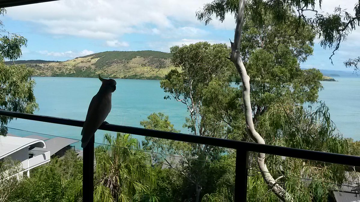 Permalink til innebygd bilde