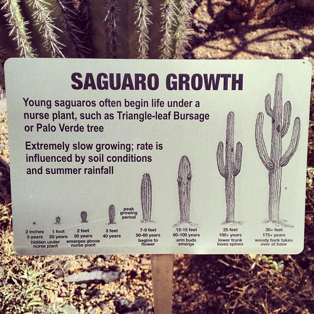 Happy Hiker tweet media