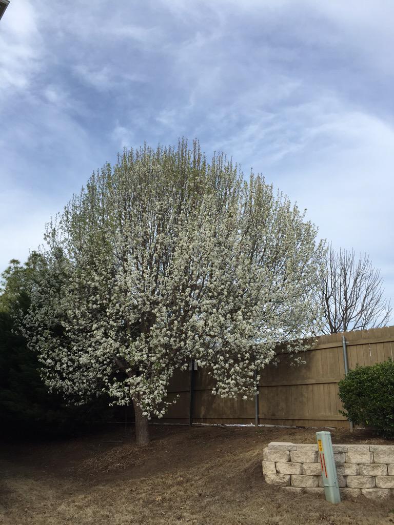 iandujar7's tweet image. #cnnspring