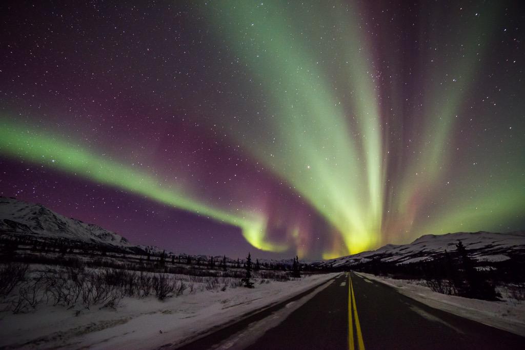 The northern lights put on a spectacular show last night. Aurora borealis over <a href="/DenaliNPS/">Denali National Park</a> #Alaska