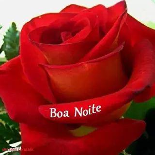 Rosana Silva#Beta (@rosanas18199878) on Twitter photo 