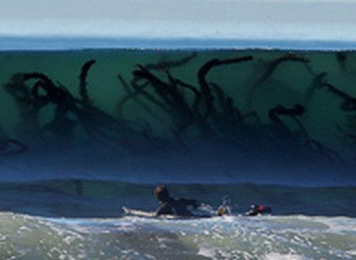 ライブドアニュース なんか怖い 波越しに見える海草が 不気味すぎる 写真が話題に Http T Co Qgwoztthqm まるで触手モンスターが波の中に潜んでいるかのような迫力 海の透明度が高いため 大きな海藻が透けて見えている のです Http T Co