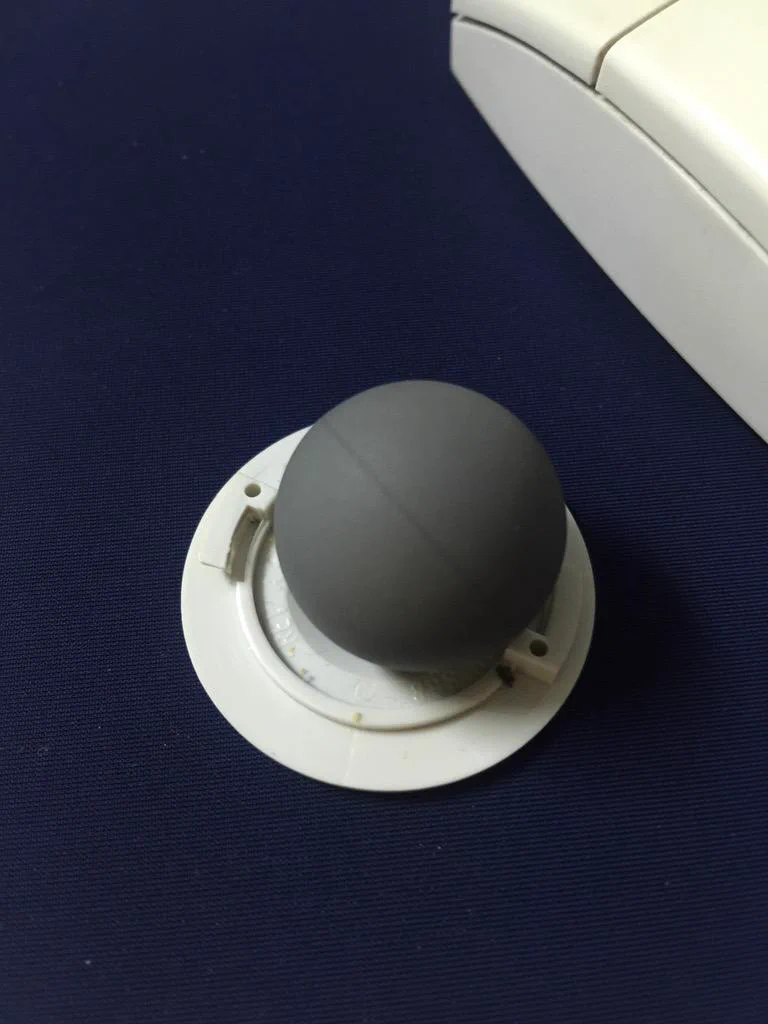 この玉が何なのかわかる？わかる人はひょっとするとおじさん・おばさんかもｗｗｗ