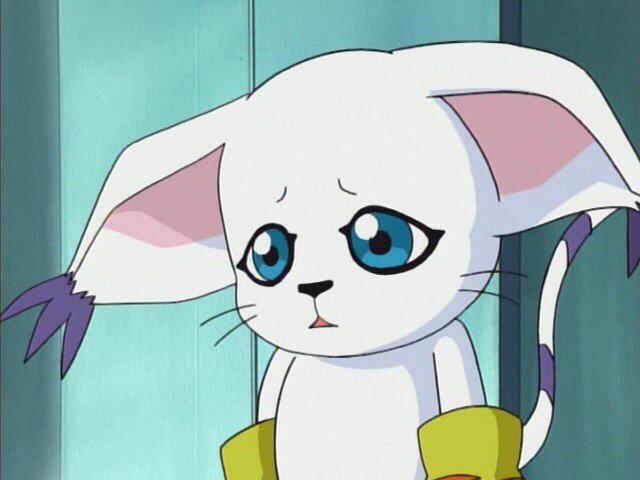 CAbQ44fUMAAOIm8.jpg:orig