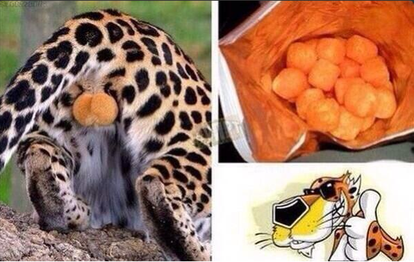 CauseWereGuys's tweet photo. It all makes sense now... http://t.co/dt60jysZkL